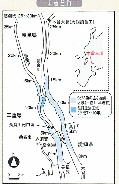 長良川のシジミ漁獲量 謎 Beachmollusc ひむかのハマグリ 長良川のシジミ漁獲量 謎 Beachmollusc ひむかのハマグリ
