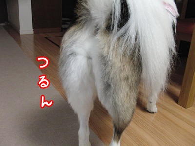 b0185650_03325.jpg
