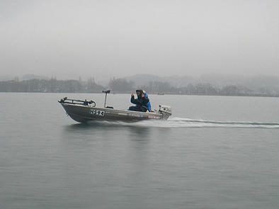 b0177760_52396.jpg