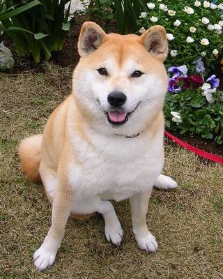 ’12,12,31(月)今年は”笑”、来年は・・・?_f0060461_235304.jpg