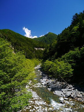 c0237264_2151355.jpg