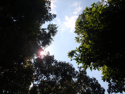 b0218371_774841.jpg