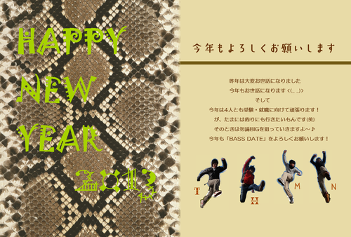 c0135271_358747.png