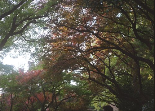 c0124773_21215189.jpg