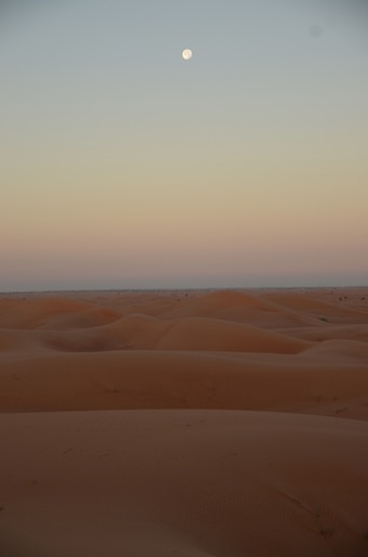 e0066474_2463231.jpg