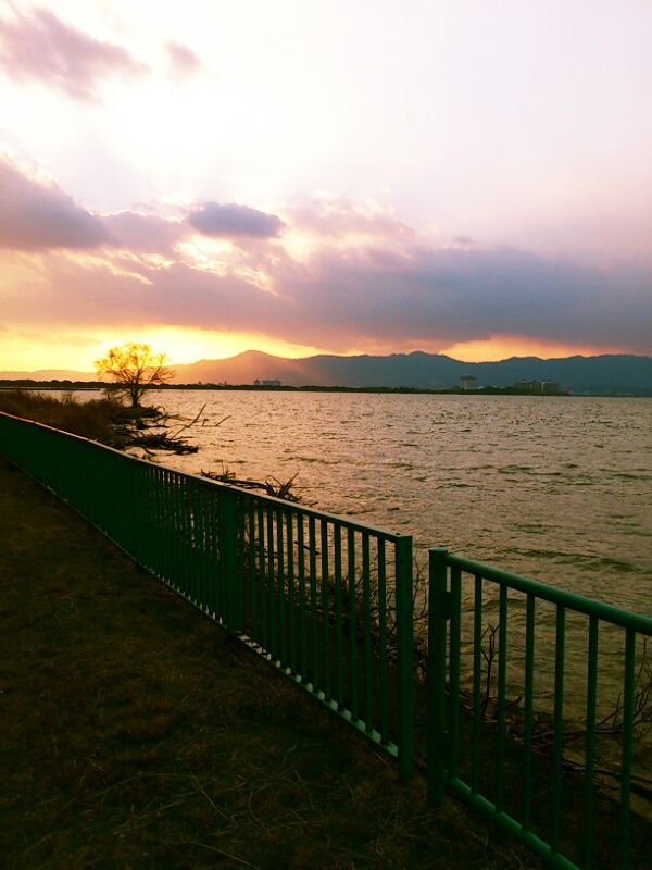2012年ありがとうございました。_a0235880_2310055.jpg