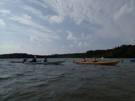 b0125180_822159.jpg