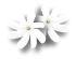 a0262183_163444.gif
