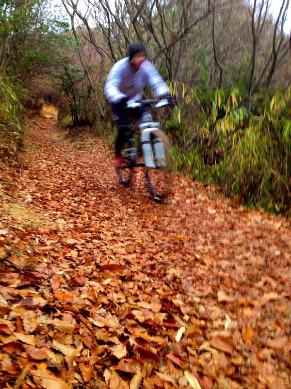 2012/12/28 MTB Session in Rokko_b0220886_1548265.jpg