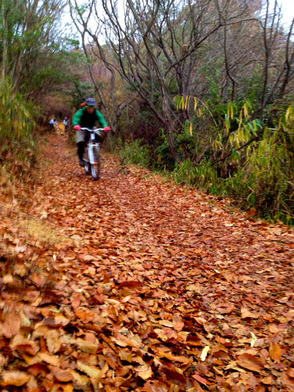 2012/12/28 MTB Session in Rokko_b0220886_1548599.jpg