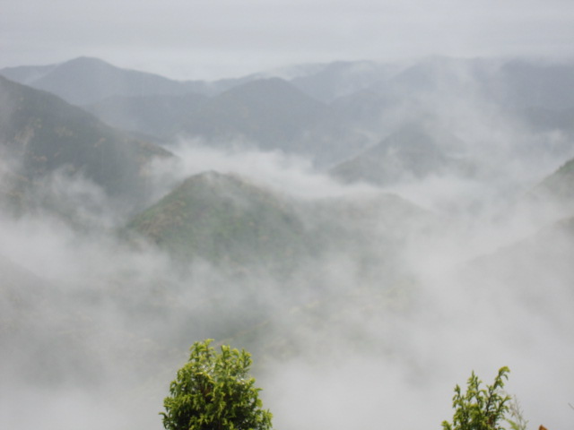 a0170390_23232852.jpg