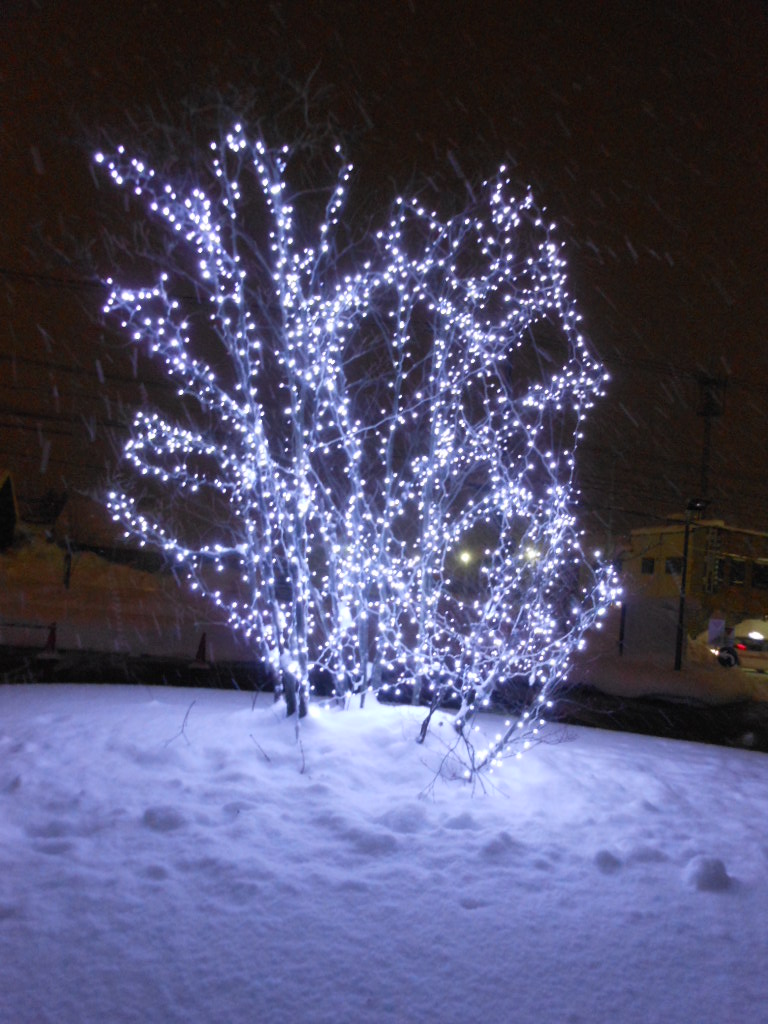 f0057094_17231682.jpg