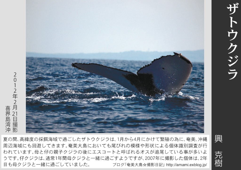 12/31 よいお年を_a0010095_12505270.jpg