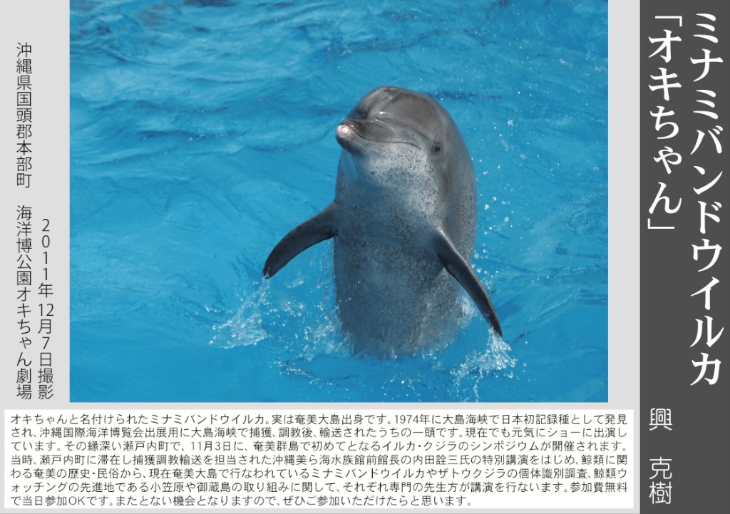 12/31 よいお年を_a0010095_12523291.jpg
