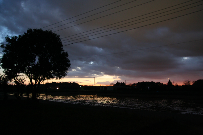 d0100095_17492553.jpg