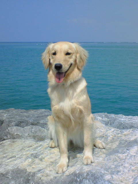 c0193396_10295220.jpg