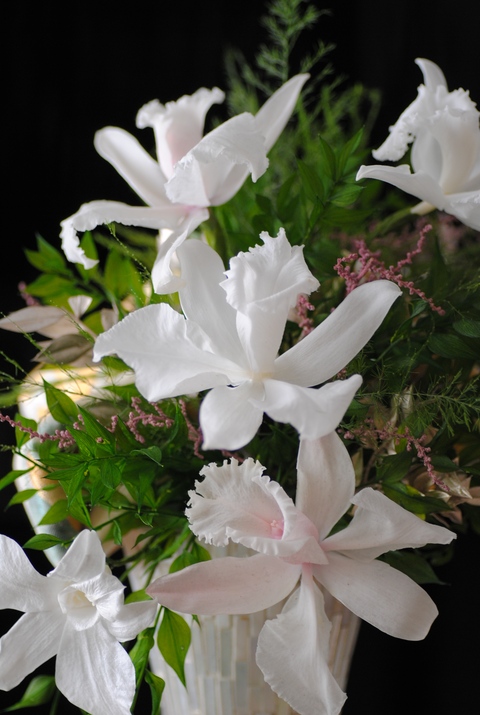 佳いお年を✿ฺ・:*:・✿ฺ ・:*:・・:✿ฺ ・::*:・✿ฺ・:*:・✿ฺ ・:*:・・: ✿ฺ・:_c0195496_23295075.jpg