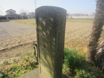 a0117599_24216.jpg