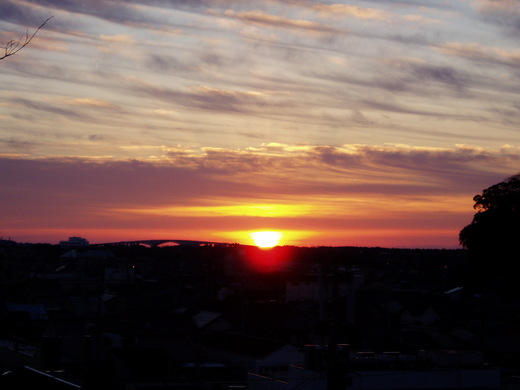 c0183801_20221120.jpg
