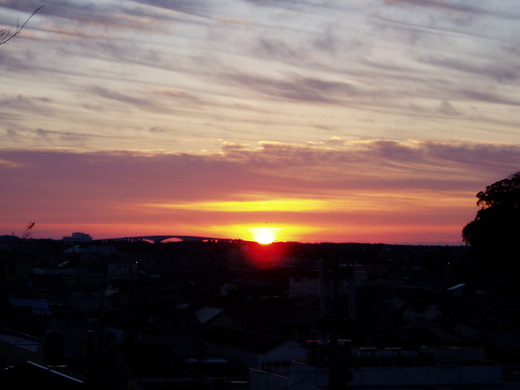 c0183801_20231212.jpg