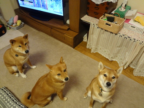 今年はゆっくり・のんびり・楽しく・健康で～_e0292102_2042227.jpg