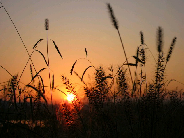 c0092803_215157.jpg