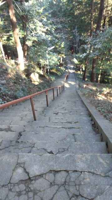 c0074407_10353372.jpg