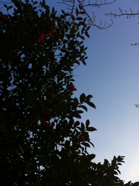 c0180209_1962622.jpg