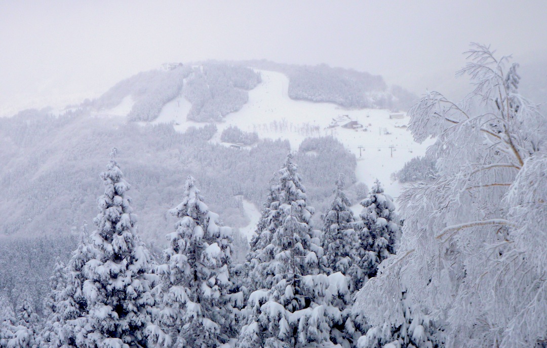 c0078410_22481735.jpg