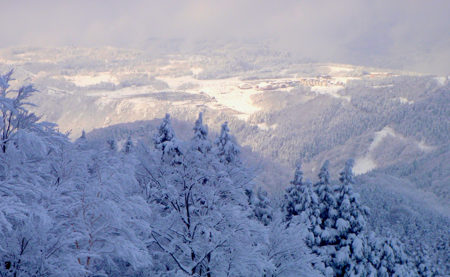 c0078410_2255352.jpg