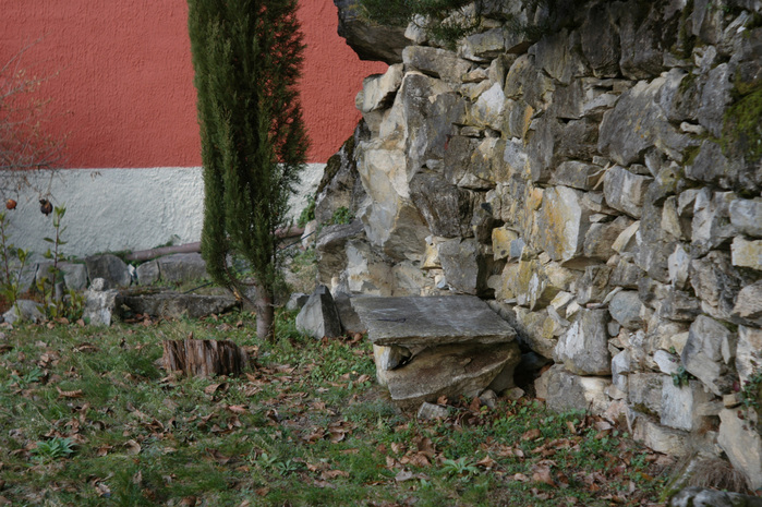 d0104210_264679.jpg