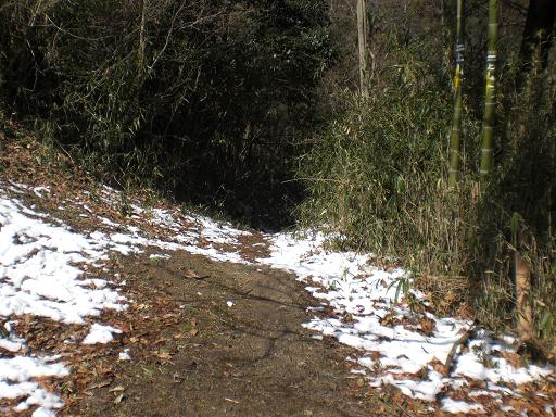 ２０１１年２月１６日(水）雪の二上山_d0288411_0194288.jpg