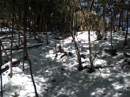 ２０１１年２月１６日(水）雪の二上山_d0288411_0241431.jpg