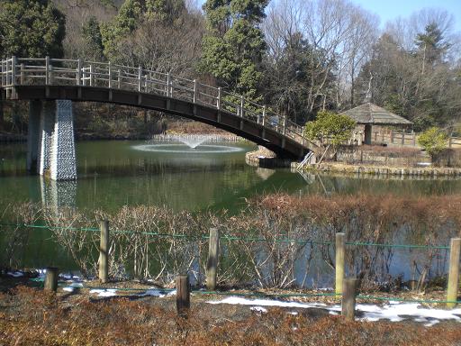 ２０１１年２月１６日(水）雪の二上山_d0288411_0291081.jpg