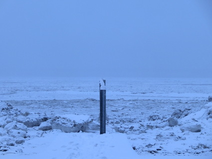 b0187313_4201443.jpg