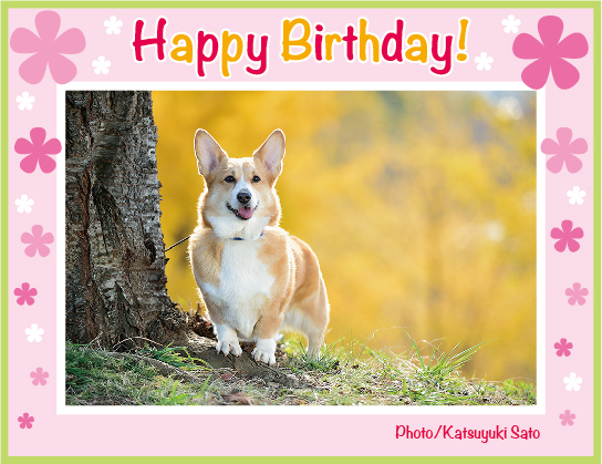 アンナちゃん、お誕生日おめでとう♪_d0102523_1293334.jpg