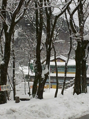 a0115924_150578.jpg