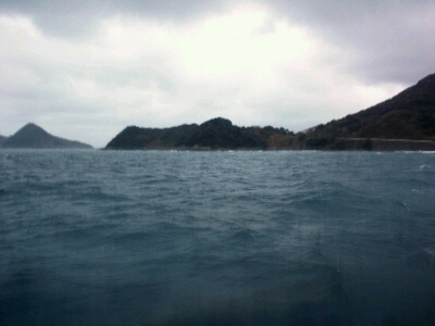 b0259124_1413412.jpg