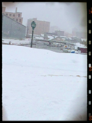 f0170524_1715623.jpg