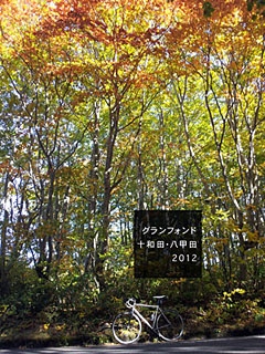 e0089826_4394512.jpg
