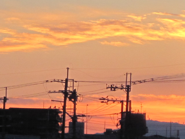 b0167733_1648509.jpg
