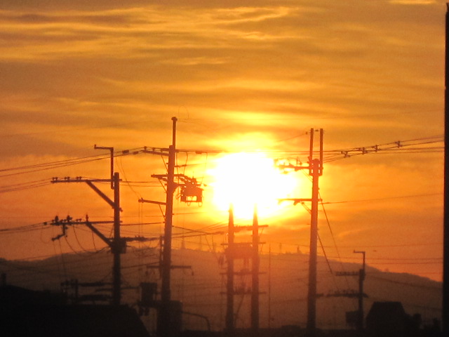 b0167733_16514915.jpg