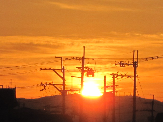 b0167733_1651611.jpg