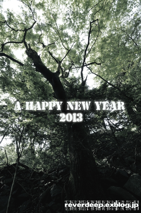 NEW YEAR ! 2013_c0133133_1191017.jpg