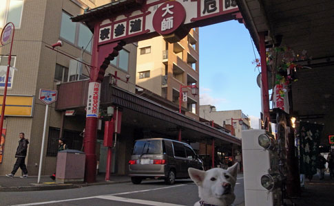 a0117039_102136.jpg