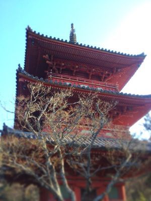 c0266240_2150340.jpg