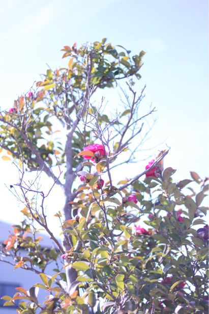 b0243443_1442272.jpg