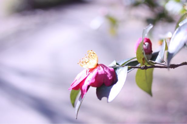 b0243443_1442653.jpg