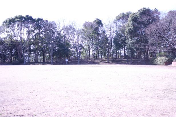 b0243443_1442850.jpg