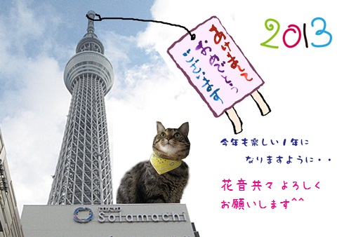 スカイツリーは花音より大きいぞ~!_b0134745_1263153.jpg